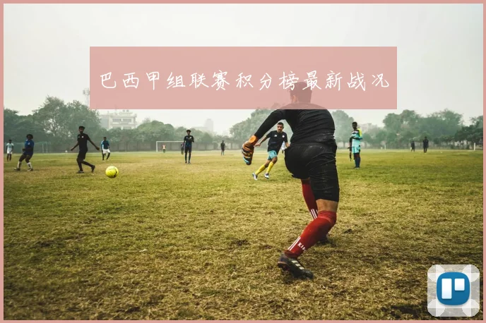 巴西甲组联赛积分榜最新战况