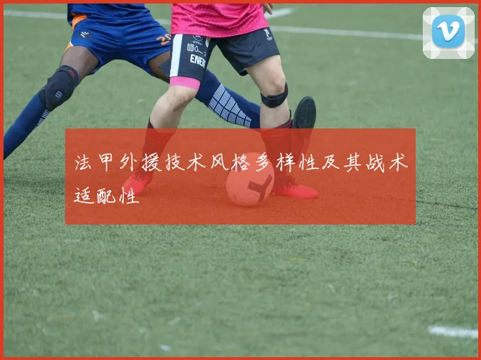 法甲外援技术风格多样性及其战术适配性