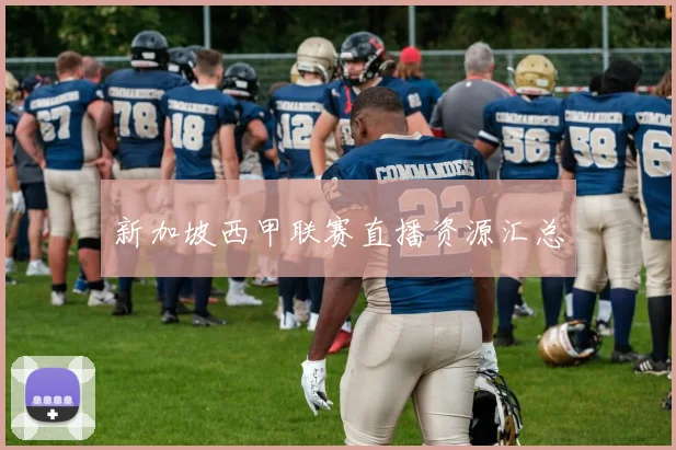 新加坡西甲联赛直播资源汇总