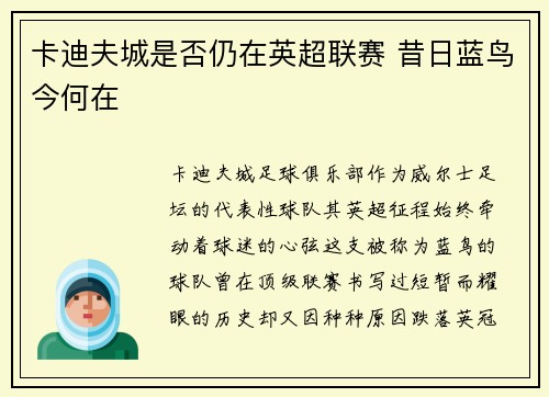 卡迪夫城是否仍在英超联赛 昔日蓝鸟今何在