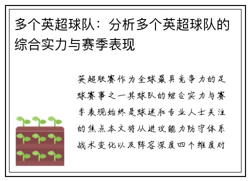 多个英超球队：分析多个英超球队的综合实力与赛季表现